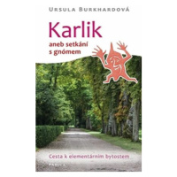 Karlik aneb setkání s gnómem - Ursula Burkhardová