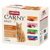 Animonda Carny Pouch 24 x 85 g - mix II (4 druhy)