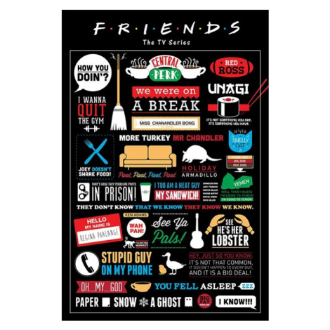 Plakát, Obraz - PŘÁTELÉ - FRIENDS - infographic, 61x91.5 cm Pyramid