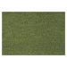 Lano - koberce a trávy Neušpinitelný metrážový koberec Nano Smart 591 zelený - Kruh s obšitím cm