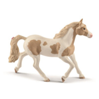 Zvířátko - Klisna plemene Paint Horse