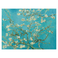 Reprodukce obrazu Vincenta van Gogha - Almond Blossom, 40 x 30 cm