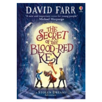 The Secret of the Blood-Red Key - David Farr - kniha z kategorie Fantasy