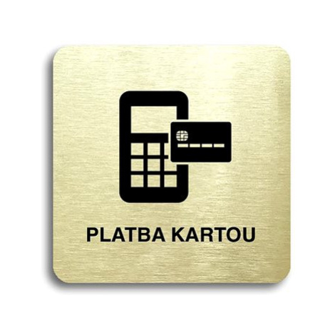 Accept Piktogram "platba kartou II" (80 × 80 mm) (zlatá tabulka - černý tisk bez rámečku)