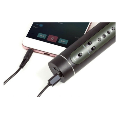 Mikrofon Karaoke Bluetooth černý na baterie s USB kabelem Teddies
