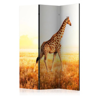 Paraván giraffe - walk Dekorhome 225x172 cm (5-dílný)