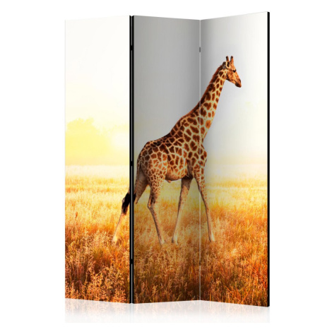 Paraván giraffe - walk Dekorhome 225x172 cm (5-dílný) Artgeist