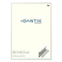 DANTIK rámeček 29,7 × 42, ALU profil 6030 Bílý matný plexi čiré