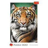 Trefl Puzzle 1500 - Portrét tygra / ADOBE STOCK_L