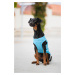 Vsepropejska Buda letní tričko pro psa Barva: Modrá, Délka zad (cm): 30, Obvod hrudníku: 38 - 44