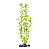 Penn Plax Rostl.umělá 33 cm Blooming Ludwigia (Green) XL