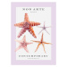 Ilustrace Non Arte Starfish, Rikke Londager Boisen, 30 × 40 cm