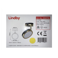 Lindby Lindby - LED Bodové svítidlo 1xGX53/6W/230V