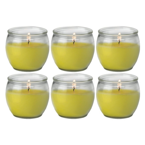 Petali Citronella vonná svíčka ve skle Maiorca 6ks - hoření 25h