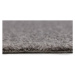 Betap koberce AKCE: 98x430 cm Metrážový koberec Dynasty 73 - Bez obšití cm