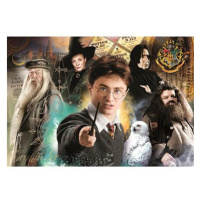 CLEMENTONI Harry Potter: Učitelé 1000 dílků