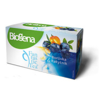 Biogena Fantastic Borůvka & rakytník porcovaný čaj 20x2 g