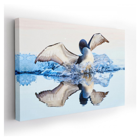 Obraz na plátně BIRD 120x80 cm Mybesthome MyBestHome PRO