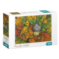 Puzzle Dzembronya, Ukrajina 1000 dílků