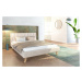 FDM Čalouněná manželská postel HEAVEN | 120 x 200 cm Barva: Fialová