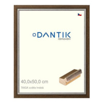 DANTIK rámeček 40 × 50, TAIGA sv.hnědý plexi čiré