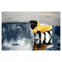 Vsepropejska Roy reflexní pláštěnka pro psa Barva: Žlutá, Délka zad (cm): 34, Obvod hrudníku: 42