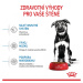 Royal Canin Maxi Puppy 15kg