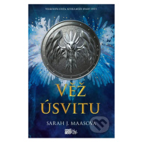 Věž úsvitu (Velkolepá cesta, která může spasit svět.) - kniha z kategorie Sci-fi, fantasy a komi