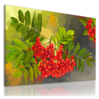 Obraz na plátně BERRY I. různé rozměry Ludesign ludesign obrazy: 80x60 cm