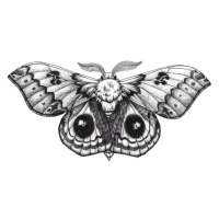 Fotografie Beautiful Butterfly tattoo. Antherina suraka. Madagascar, Natalypaint, (40 x 26.7 cm)