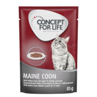 Concept for Life Maine Coon Adult (ragú) - 48 x 85 g