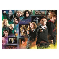 Trefl Puzzle Harry Potter: Kouzelnický svět 1000 dílků