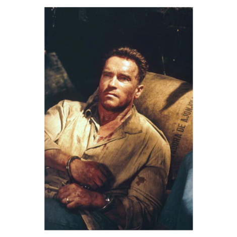 Plakát, Obraz - Arnold Schwarzenegger, Collateral Damage, 26.7 × 40 cm