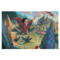 Umělecký tisk Harry Potter - Quidditch, 40x26.7 cm