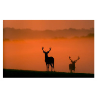 Fotografie Behind you, MarkBridger, 40 × 26.7 cm