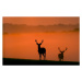 Fotografie Behind you, MarkBridger, 40 × 26.7 cm