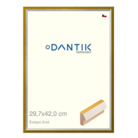 DANTIK rámeček 29,7 × 42, EVOQUE žlutý plexi čiré