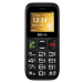 Mobilní telefon Maxcom MM426 4 Gb 2 Mb černý