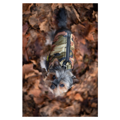 Vsepropejska Knox obleček pro psa na zip Barva: Zelená, Délka zad (cm): 26, Obvod hrudníku: 36 -