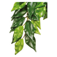 Hagen Rostlina textil Ficus velká