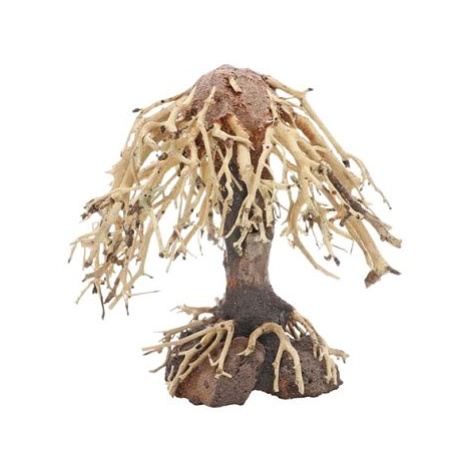 Dupla Weeping Willow 1 přírodní dřevěná dekorace 15 × 10 × 16 cm Hobby Dohse