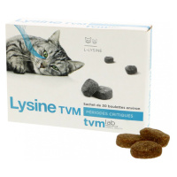 TVM Lysin kočka - 30 x 2 g