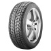 Nankang Snow Viva SV-1 ( 205/50 R17 93T XL, Nordic compound )