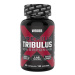 WEIDER Premium tribulus 90% saponins 90 kapslí