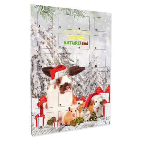 Adventní kalendář NATURE LAND 360 g