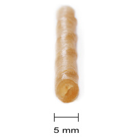 Žvýkací rolky Barkoo zatočená hovězí kůže cca 12,5 cm, Ø 5 mm - 4 x 100 kusů à 12,5 cm (2,8 kg)