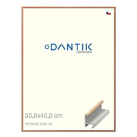 DANTIK rámeček 30 × 40, ALU profil 6030 Dýha dub lak matný plexi čiré