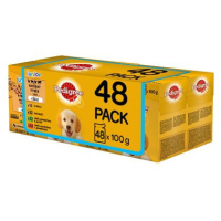 Pedigree kapsičky pro štěňata masový výběr s rýží v želé 48 x 100 g