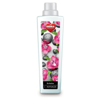 Dedra avivážní kondicionér lila fashion 750 ml