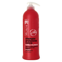 Black Colour Protection Shampoo - šampon na barvené vlasy, 500 ml